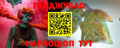 тгк Камышлов