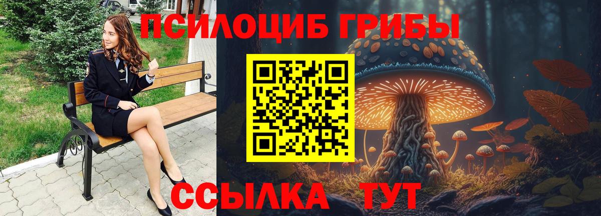 Псилоцибиновые грибы Psilocybine cubensis Красноярск