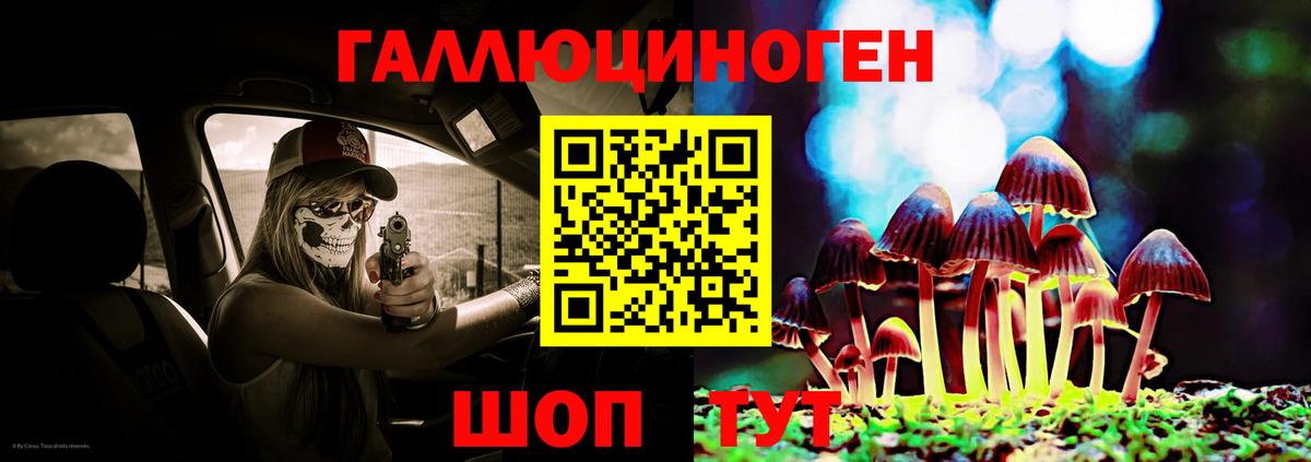Красноярск  Галлюциногенные грибы Psilocybine cubensis  Вход с VPN 